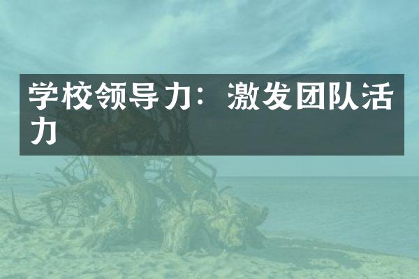 学校领导力：激发团队活力