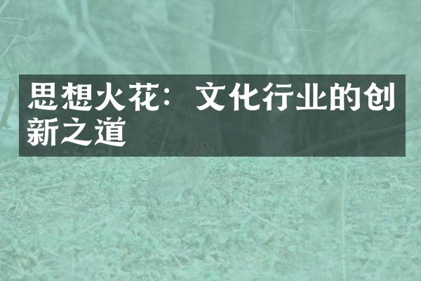 思想火花：文化行业的创新之道