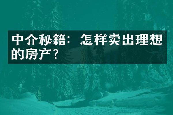 中介秘籍：怎样卖出理想的房产？