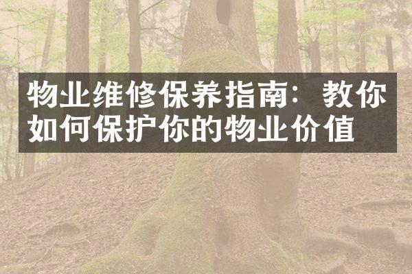 物业维修保养指南：教你如何保护你的物业价值