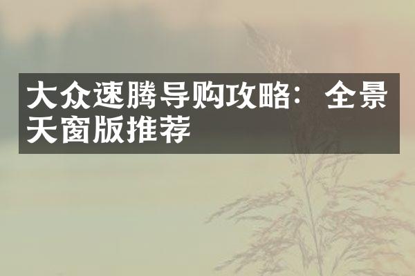 大众速腾导购攻略：全景天窗版推荐