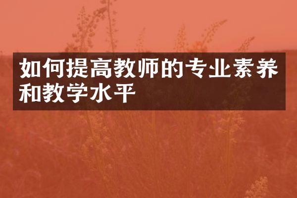 如何提高教师的专业素养和教学水平