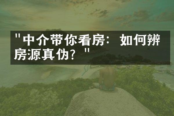 "中介带你看房：如何辨别房源真伪？"