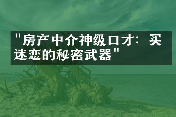 "房产中介神级口才：买家迷恋的秘密武器"