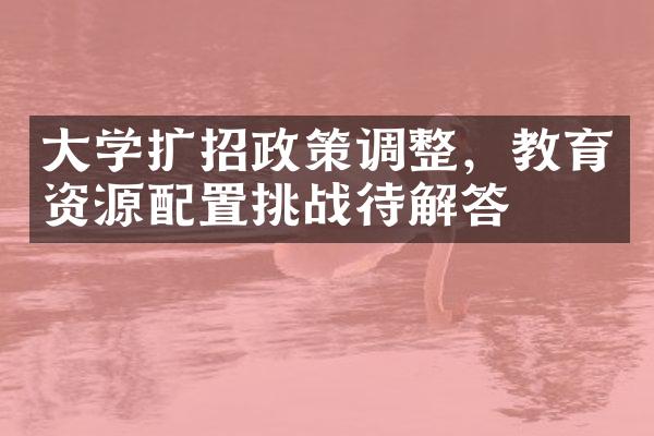 大学扩招政策调整，教育资源配置挑战待解答