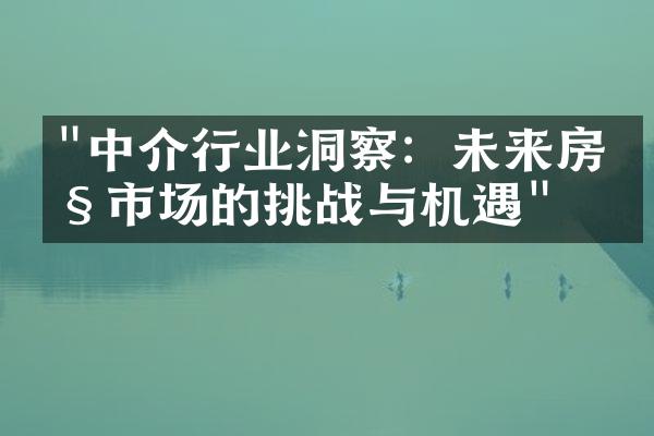 "中介行业洞察：未来房产市场的挑战与机遇"