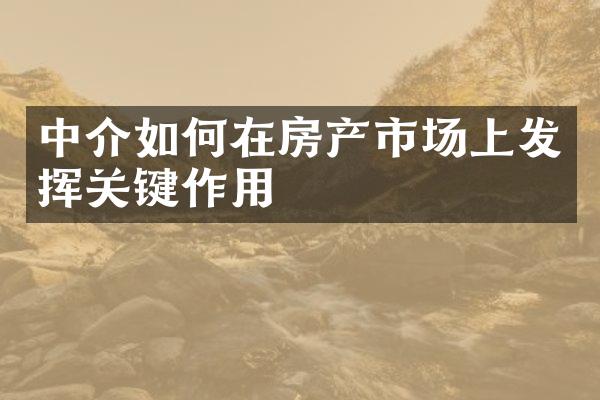 中介如何在房产市场上发挥关键作用