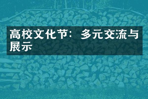 高校文化节：多元交流与展示