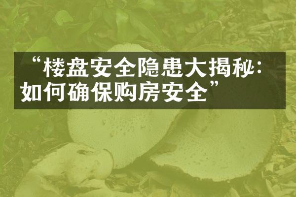 “楼盘安全隐患揭秘：如何确保购房安全”