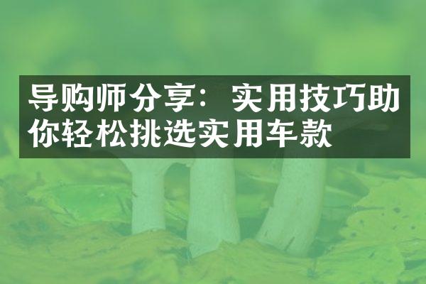 导购师分享：实用技巧助你轻松挑选实用车款