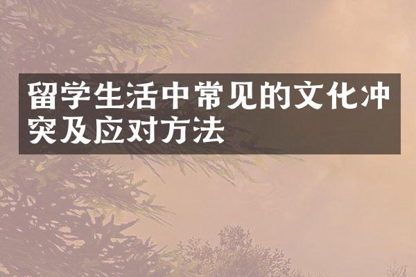 留学生活中常见的文化冲突及应对方法