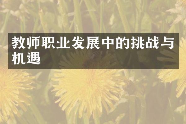 教师职业发展中的挑战与机遇