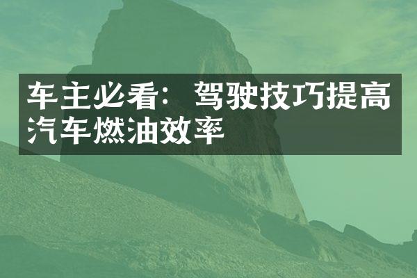 车主必看：驾驶技巧提高汽车燃油效率