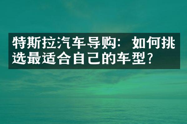 特斯拉汽车导购：如何挑选最适合自己的车型？