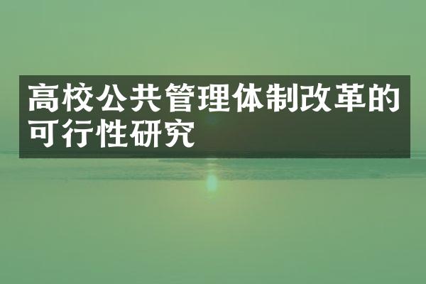 高校公共管理体制改革的可行性研究