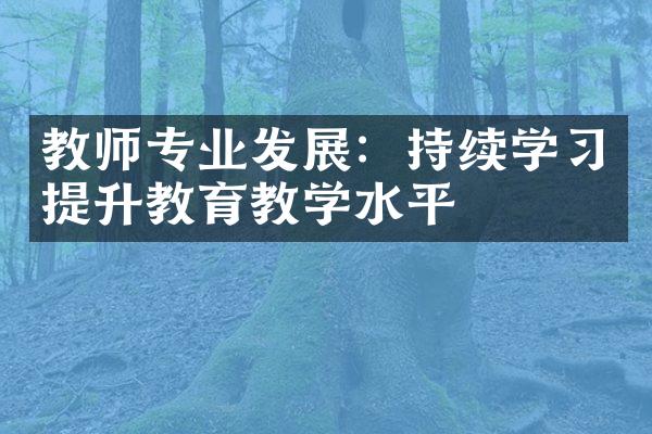 教师专业发展：持续学习提升教育教学水平