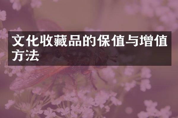 文化收藏品的保值与增值方法