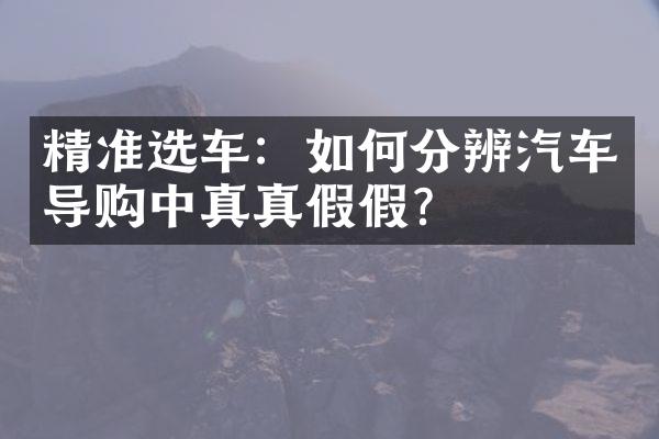 精准选车：如何分辨汽车导购中真真假假？