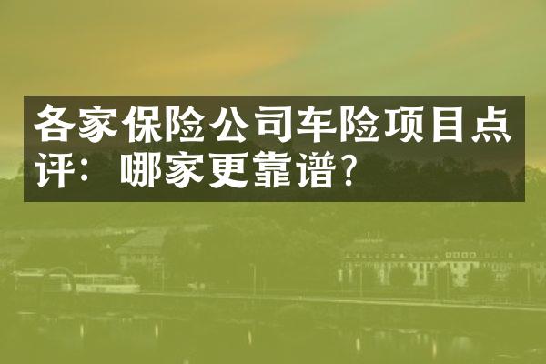 各家保险公司车险项目点评：哪家更靠谱？