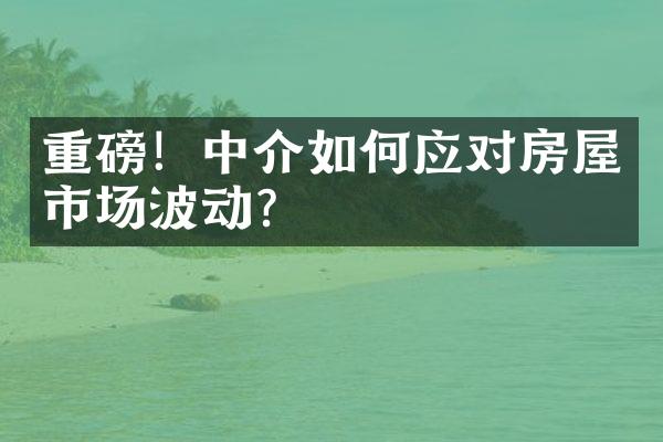 重磅！中介如何应对房屋市场波动？