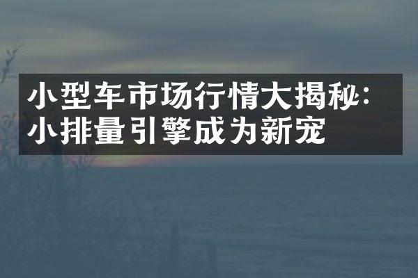 小型车市场行情大揭秘：小排量引擎成为新宠