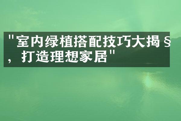 "室内绿植搭配技巧大揭秘，打造理想家居"