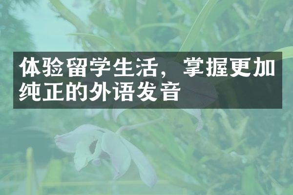 体验留学生活，掌握更加纯正的外语发音