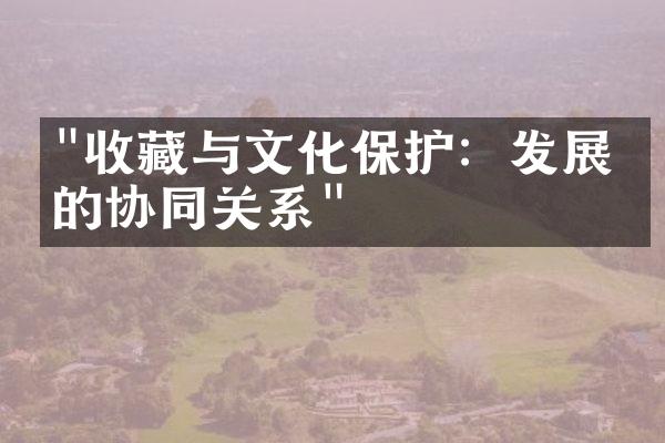 "收藏与文化保护：发展中的协同关系"