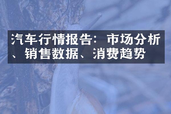 汽车行情报告：市场分析、销售数据、消费趋势