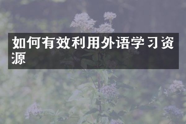 如何有效利用外语学习资源