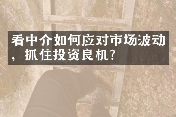 看中介如何应对市场波动，抓住投资良机？