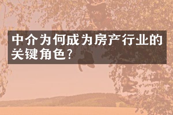 中介为何成为房产行业的关键角色？