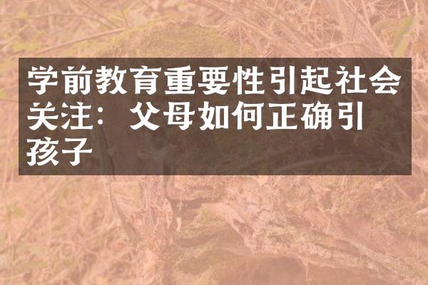 学前教育重要性引起社会关注：父母如何正确引导孩子