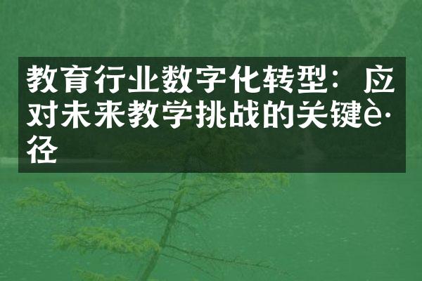 教育行业数字化转型：应对未来教学挑战的关键路径