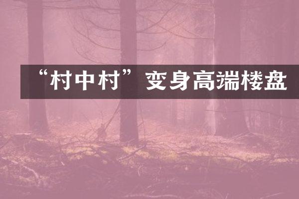 “村中村”变身高端楼盘