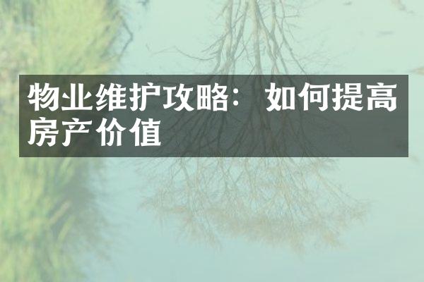 物业维护攻略：如何提高房产价值