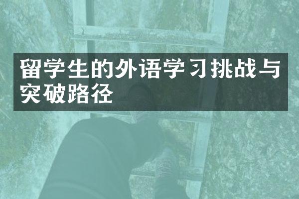 留学生的外语学习挑战与突破路径