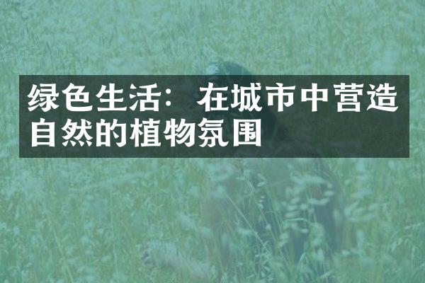 绿色生活：在城市中营造自然的植物氛围