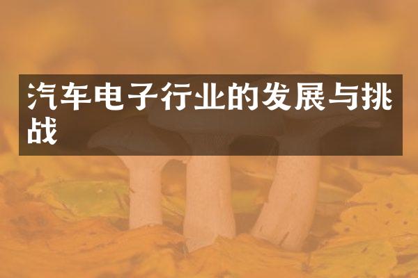 汽车电子行业的发展与挑战