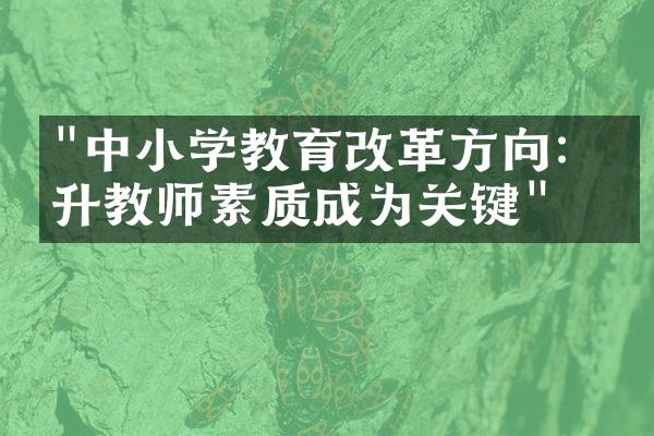 "中小学教育改革方向：提升教师素质成为关键"