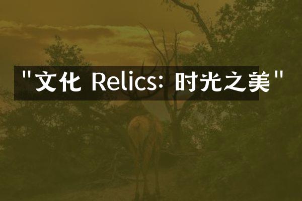 "文化 Relics: 时光之美"