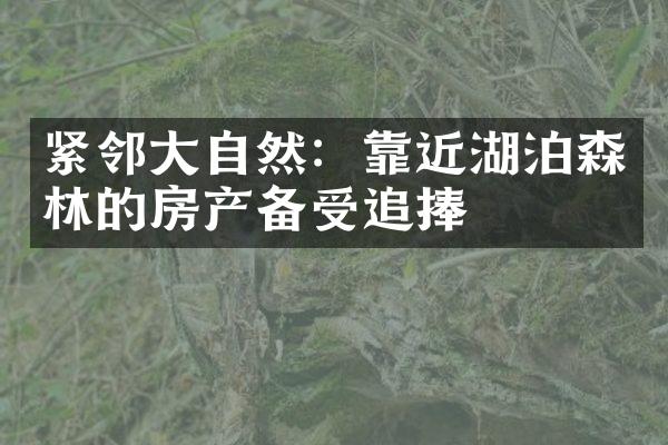 紧邻大自然：靠近湖泊森林的房产备受追捧