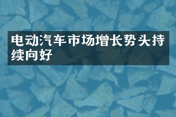 电动汽车市场增长势头持续向好