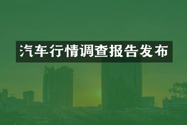 汽车行情调查报告发布