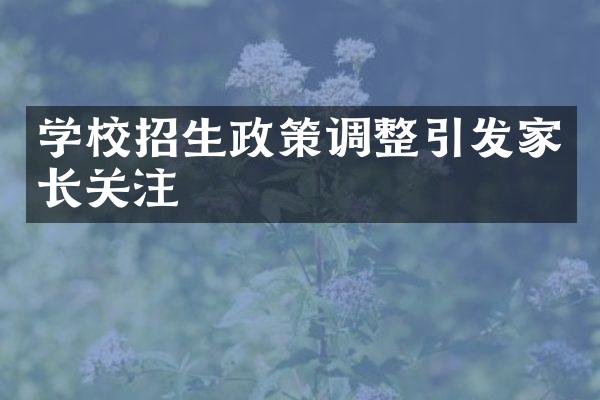 学校招生政策调整引发家长关注