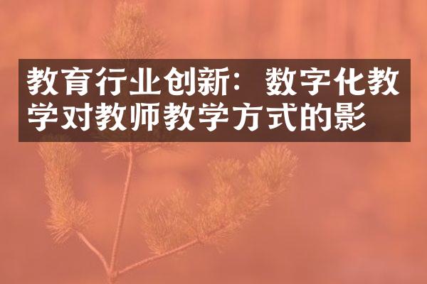 教育行业创新：数字化教学对教师教学方式的影响