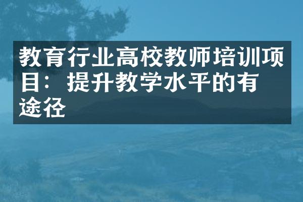 教育行业高校教师培训项目：提升教学水平的有效途径