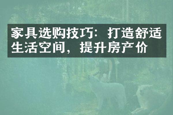 家具选购技巧：打造舒适生活空间，提升房产价值