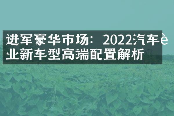 进军豪华市场：2022汽车行业新车型高端配置解析