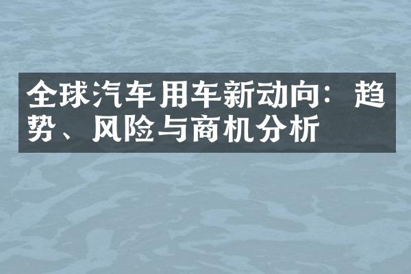 全球汽车用车新动向：趋势、风险与商机分析